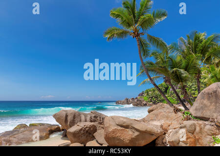 Belle plage avec des palmiers et des rochers aux Seychelles Paradise Island. Banque D'Images