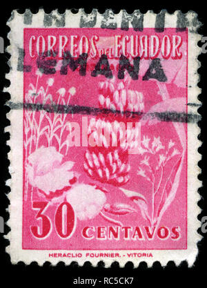 Timbre-poste de l'Equateur dans le bananier La série émise en 1954 Banque D'Images