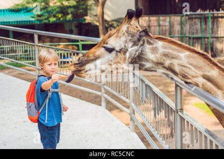 Petit enfant garçon regardant et d'alimentation girafe zoo. Happy kid s'amusant avec les animaux du parc safari sur chaude journée d'été Banque D'Images