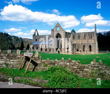 Abbaye de Tintern, vallée de la Wye, Monmouthshire, Galles du Sud. Banque D'Images