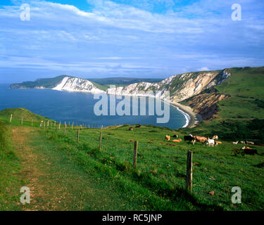 Worbarrow Bay près de l'île de Purbeck, Lulworth, dans le Dorset. Banque D'Images