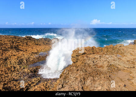 De grosses vagues à Shete Boka National Park à Curacao Banque D'Images