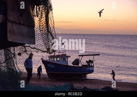 Hastings, East Sussex. 14 Jan, 2019. Météo France : pêcheurs tirant leur bateau sur le Stade bateau de pêche plage pour décharger la nuit de prise de poissons. Hastings a l'une des plus grandes flottes de pêche plage-lancé en Europe. Banque D'Images