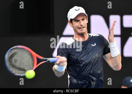 Melbourne, Australie. 14 Jan, 2019. Andy Murray en action dans le premier match contre des semences 22 Roberto Bautista Agut le premier jour de l'Australian Open 2019 Tournoi de tennis du Grand Chelem à Melbourne, Australie. Bas Sydney/Cal Sport Media/Alamy Live News Banque D'Images