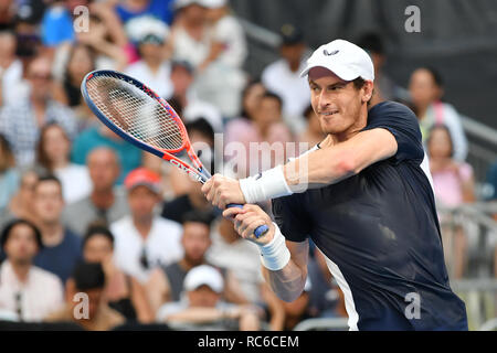 Melbourne, Australie. 14 Jan, 2019. Andy Murray en action dans le premier match contre des semences 22 Roberto Bautista Agut le premier jour de l'Australian Open 2019 Tournoi de tennis du Grand Chelem à Melbourne, Australie. Bas Sydney/Cal Sport Media/Alamy Live News Banque D'Images