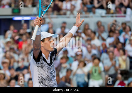 Melbourne, Australie. 14 Jan, 2019. Tomas Berdych République tchèque célèbre après le premier tour du tournoi match contre Kyle Edmund de la Grande-Bretagne à l'Open d'Australie 2019 à Melbourne, Australie, 14 janvier 2019. Tomas Berdych a remporté 3-0. Xinhua/Hu Jingchen Banque D'Images