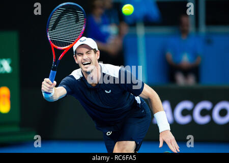 Melbourne, Australie. 14 Jan, 2019. Andy Murray à partir de la Grande-Bretagne en action lors de son premier match à l'Australian Open 2019 Tournoi de tennis du Grand Chelem à Melbourne, Australie. Frank Molter/Alamy live news Banque D'Images