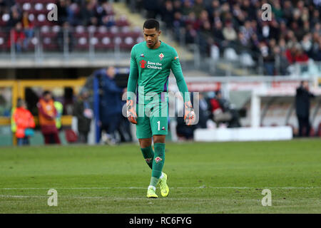 Torino, Italie. 13 Jan, 2019. Turin, Italie., . Alban Lafont de la Fiorentina en action au cours de l'Italia Tim Cup match de football FC entre Turin et la Fiorentina. Crédit : Marco Canoniero/Alamy Live News Banque D'Images