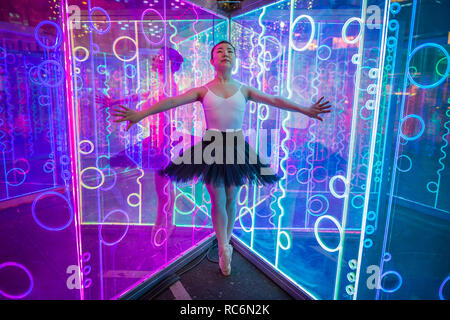 Londres, Royaume-Uni. 14 janvier, 2019. 5e édition du festival d'art interactif des feux d'hiver à Canary Wharf. Crédit : Guy Josse/Alamy Live News Banque D'Images