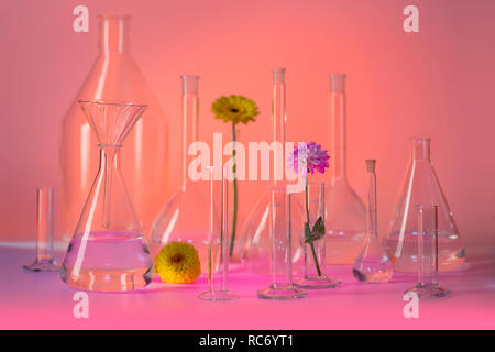 Variété de verrerie de laboratoire en partie rempli y compris certains capitules en ambiance lumineuse chaleureuse Banque D'Images