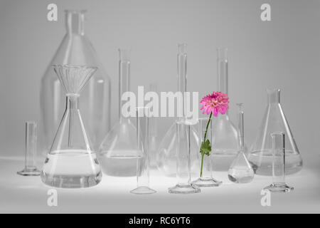 Variété de verrerie de laboratoire en partie rempli y compris un capitule. Banque D'Images