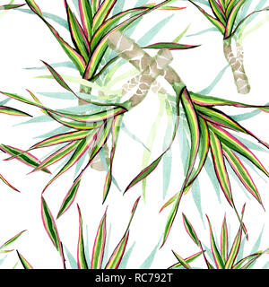 Calathea. Contexte aquarelle illustration set. Motif de fond transparent. Banque D'Images