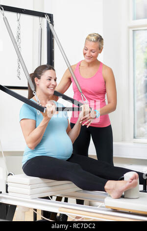Femme enceinte avec son PT Banque D'Images