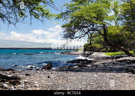 Sentier côtier de randonnée à Kiholo Bay, Grande Île d'Hawaï Banque D'Images