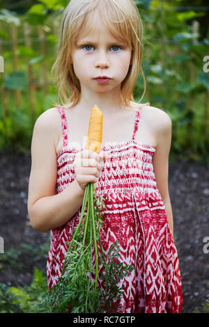 Portrait of Girl eating carrot dans le champ Banque D'Images