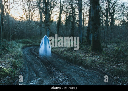 Un trouble à capuchon transparent fantomatique figure debout sur un chemin dans une forêt en hiver. Avec un aspect granuleux coupé modifier. Banque D'Images