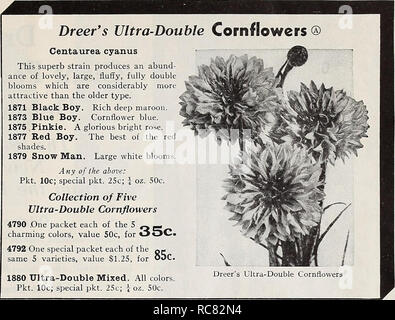 . Dreer's garden book pour 1940. Les catalogues de graines de pépinière ; catalogues ; Matériel et fournitures de jardinage ; Catalogues Catalogues de graines de fleurs Graines de legumes ; catalogues ; Graines Fruits Catalogues. dans des graines de fleurs de Cosmos 1940 Extra-Early ® nouvelle sensation un ?uperb à floraison précoce produisant de grandes masses de souche bien arrondis- grandes fleurs sur des tiges robustes et longue. 2037 Crimson. Une riche couleur. 2038 Pinkie. Rose clair. 2039 La pureté. Blanc pur. Un ny de la ci-dessus : Pkt. 15c ; une pkt. 40c. 4804 Collection de 3 Cosmos sensation un sachet de ^^ n g45c. valeur, couleurs pour "30C" Sensation 2040 M Banque D'Images