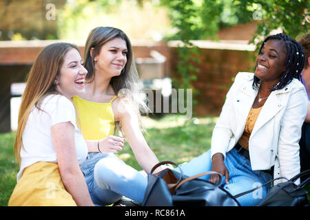 Les étudiants de l'enseignement supérieur féminin chatting on college campus lawn Banque D'Images