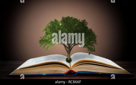 Livre ou d'arbre de la connaissance concept avec la plantation d'arbres d'un livre ouvert Banque D'Images