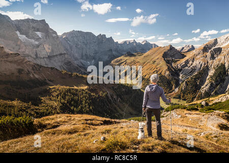 Randonneur et chien enjoying view, région de Karwendel, Hinterriss, Tirol, Autriche Banque D'Images