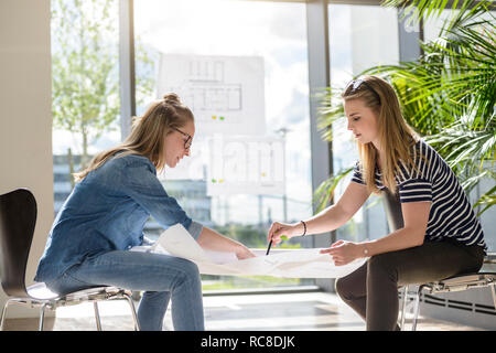 Remue-méninges sur les collègues des graphiques dans le plein soleil