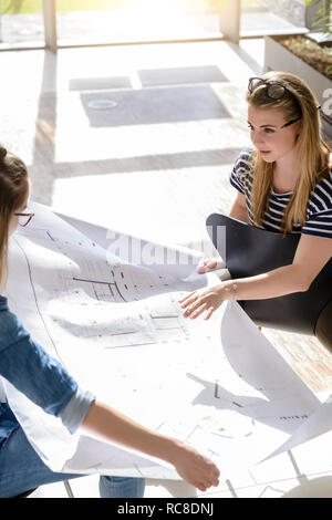 Remue-méninges sur les collègues des graphiques dans le plein soleil