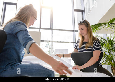 Remue-méninges sur les collègues des graphiques dans le plein soleil