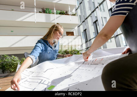 Remue-méninges sur les collègues des graphiques dans le plein soleil