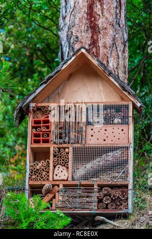 Hôtel d'insectes coléoptères, maison, hôtel de l'abeille, un abri pour de nombreux insectes, Merano, Italie Banque D'Images