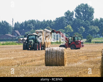 Ramasser des balles de paille dans un champ de chaume en Niedersachsen près de Barum, Elbmarsch, Allemagne. Banque D'Images