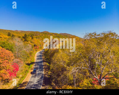 Vue aérienne de route en belle forêt d'automne au coucher du soleil. Beau paysage avec des arbres, des routes rurales vide avec des feuilles rouge et orange. Route à travers le parc. Vue de dessus du pilotage de drone. Nature Banque D'Images