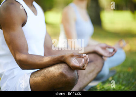 Les Yogis assis dans la position du lotus Banque D'Images