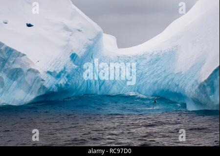 Les icebergs, les îles Orcades du Sud, Sud de l'océan, l'Antarctique Banque D'Images