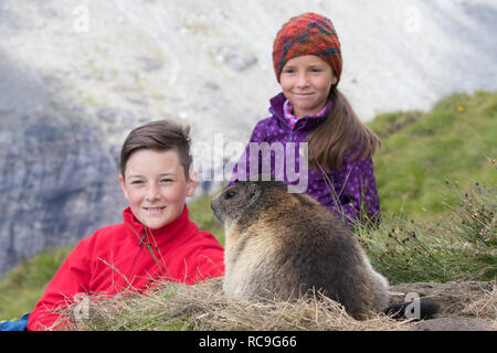 Deux enfants à la recherche au sein d'emerging marmotte alpine (Marmota marmota) en été dans les Alpes Banque D'Images