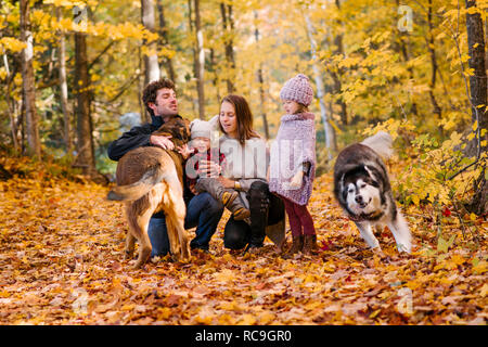 Famille de quatre personnes et les chiens en forêt Banque D'Images