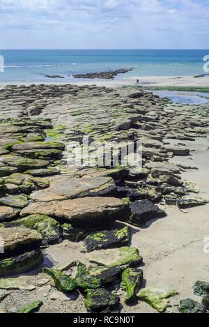 Couches de roche Jurassique découverte à marée basse sur la plage à Ambleteuse le long de la mer du Nord, la côte rocheuse La Côte d'Opale / Côte d'Opale, France Banque D'Images