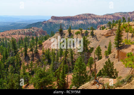 Le Parc National de Bryce Canyon Banque D'Images