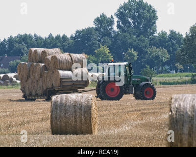 Ramasser des balles de paille dans un champ de chaume en Niedersachsen près de Barum, Elbmarsch, Allemagne. Banque D'Images