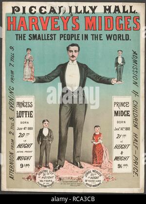 Les moucherons Harvey's. Une collection de brochures, tracts, et miscella. Londres, 1884. Une affiche pour un spectacle au Hall Piccadilly, Londres, présenté comme : les moucherons Harvey's, le plus petit de personnes dans le monde. Lottie Princess, né le 4 juillet 1869. 20 ins en hauteur, poids 9 lb Prince Midge, né le 14 janvier 1868. 21 pouces de hauteur et poids de 9 1/2 lb. de détails sur deux autres personnes sont données à titre général Tot, 31ins en hauteur, 18 1/2 ans, Liliputian vocaliste, et Jennie Worgen, 25 ins en hauteur, l'âge de 19 ans, le moucheron est femme au foyer. Image réalisée à partir d'une collection de brochures, tracts, et miscella Banque D'Images