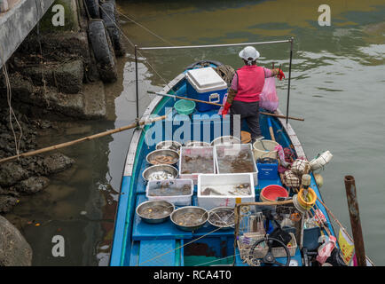 Jour brumeux à Tai O village de pêcheurs sur l'île de Lantau Banque D'Images