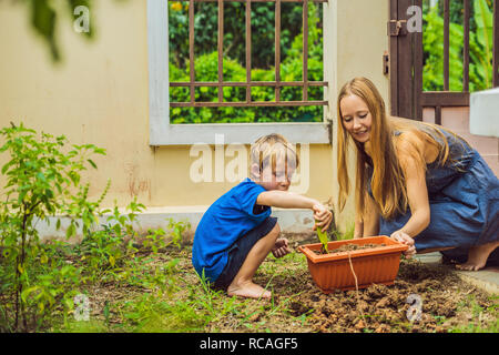 Belle jeune femme et son fils mignon planter les semis dans le lit dans le jardin intérieur à jour d'été. Outils de jardin, des gants et un arrosoir à l'extérieur. L'activité de jardinage avec petit enfant et famille Banque D'Images