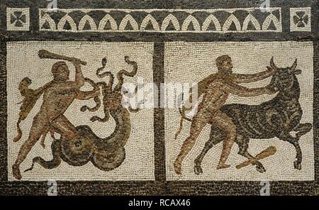 Mosaico romano de los trabajos de Hércules. Detalle con la representación de Hércules luchando con el Toro de Creta (izquierda) y con la fendeuse de Lerna (derecha). Siglo III. Procedente de Liria (Provincia de Valencia). Museo Arqueológico Nacional. Madrid. España. Banque D'Images