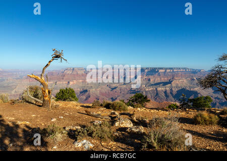 Tôt le matin voir en retrait du bord du Grand Canyon Desert View outlook, Rive Sud, le Parc National du Grand Canyon, Arizona, USA. Banque D'Images