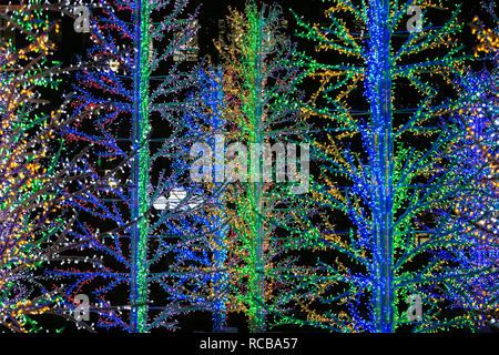 Canary Wharf, Londres, Royaume-Uni, le 14 Jan 2019. Les jolis arbres 'SASHA' dans Westferry Circus. La colorée Canary Wharf Feux d'hiver une fois de plus, les installations ouvertes au public et de visualisation interactive in et autour de Canary Wharf à partir de Jan 15 et jusqu'au 26 janvier. Credit : Imageplotter News et Sports/Alamy Live News Banque D'Images