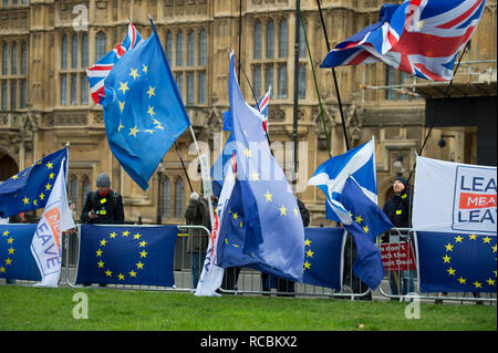 Westminster, London, UK. 15 janvier, 2019. Manifestants devant le Parlement le jour le "vote utile" est l'objet d'un vote pour l'approbation ou le rejet de Theresa May's Brexit traiter. Credit : Malcolm Park/Alamy Live News. Banque D'Images