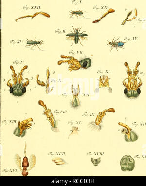 Gzq c Amp Lq Xvi B Z Pf F Xg Ka L R 0 Raztfnsr Errmib Jcj Photo Stock Alamy