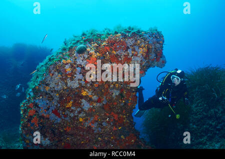 Plongée sous-marine féminine avec torche regardant une structure de roche couverte par la vie marine enrouille dans le Parc naturel de Salines (Formentera, mer Méditerranée, Espagne) Banque D'Images