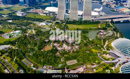 Supertree Grove, jardins de la baie, à Singapour Banque D'Images