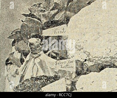 . Dreer's 1838 1908 livre le jardin. Les catalogues de graines de pépinière ; catalogues ; Matériel et fournitures de jardinage graines de fleurs ; Catalogues Catalogues ; Graines de legumes fruits ; Catalogues Catalogues de graines. '^ . *Wifi;s^-. Veuillez noter que ces images sont extraites de la page numérisée des images qui peuvent avoir été retouchées numériquement pour plus de lisibilité - coloration et l'aspect de ces illustrations ne peut pas parfaitement ressembler à l'œuvre originale.. Henry A. Dreer (Cabinet) ; Henry G. Gilbert Pépinière et du commerce de semences Catalogue Collection. Philadelphia, PA : Henry A. Dreer Banque D'Images