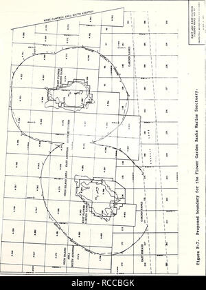 . D'impact environnemental préparé sur le projet de l'Est et l'ouest des jardins de fleur Marine Sanctuary / Ministère du Commerce des États-Unis, National Oceanic and Atmospheric Administration, Bureau de la gestion des zones côtières. Les récifs coralliens et les îles du golfe du Mexique,.. JV2I. Veuillez noter que ces images sont extraites de la page numérisée des images qui peuvent avoir été retouchées numériquement pour plus de lisibilité - coloration et l'aspect de ces illustrations ne peut pas parfaitement ressembler à l'œuvre originale.. Sondage national sur les océans. Bureau de la gestion des zones côtières. Washington : Le Bureau : Pour la vente par le surint. Banque D'Images